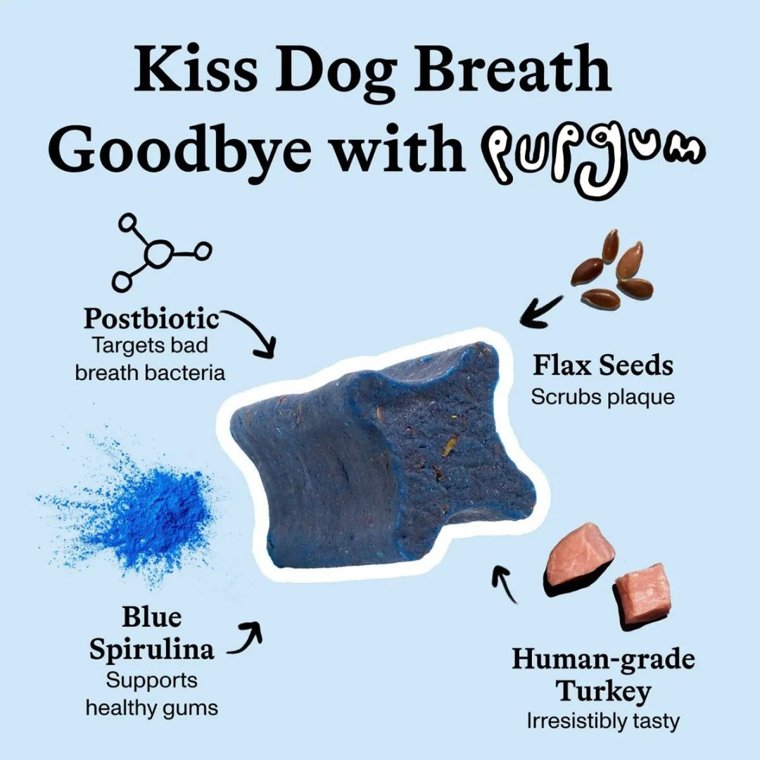 Spot & Tango PupGum Dog Dental Chews