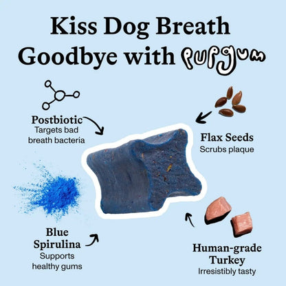 Spot & Tango PupGum Dog Dental Chews