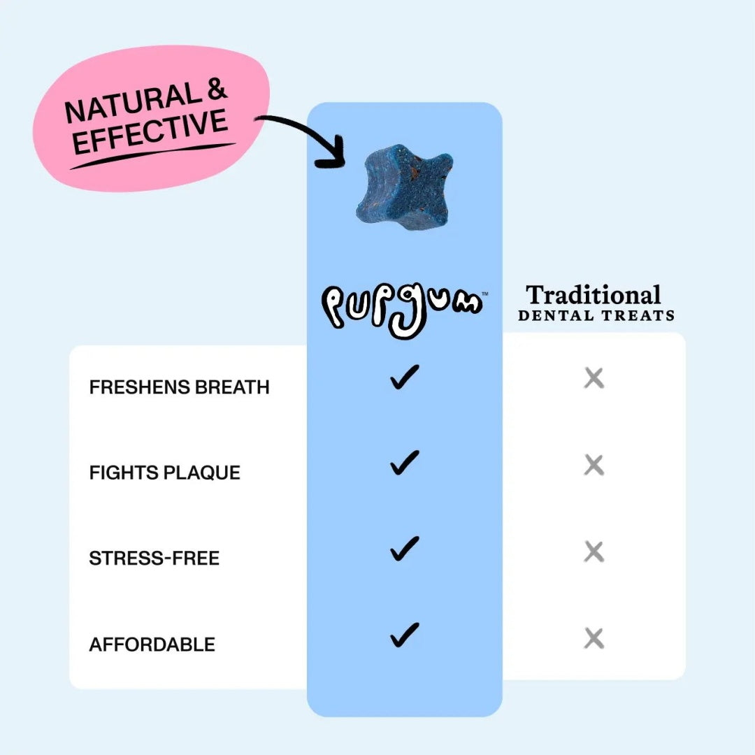 Spot & Tango PupGum Dog Dental Chews