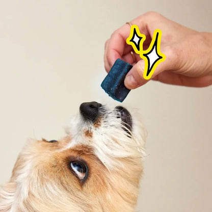 Spot & Tango PupGum Dog Dental Chews